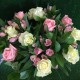 Букет Нежность с розами
