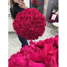 Букет из 51 розы Софи Лорен