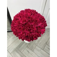 Букет из 51 розы Софи Лорен