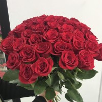 51 красная эквадорская роза