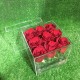 9 роз в прозрачной коробке